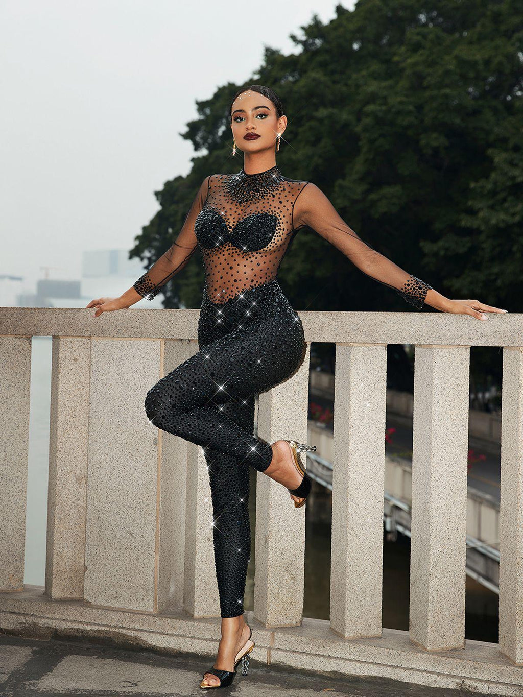 Azami Mesh Crystal Jumpsuit In Black